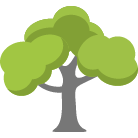 Rapid City Tree Removal