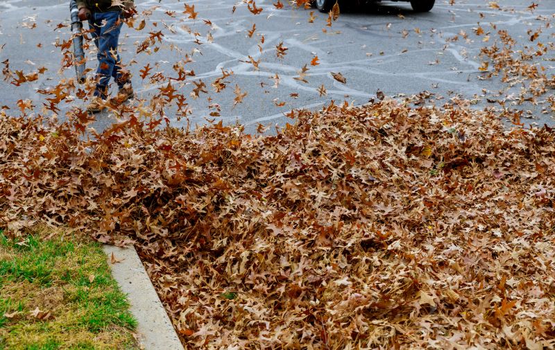 Leaf Blowing