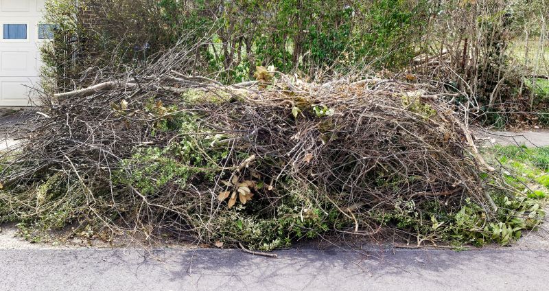 Disposal of Removed Trees