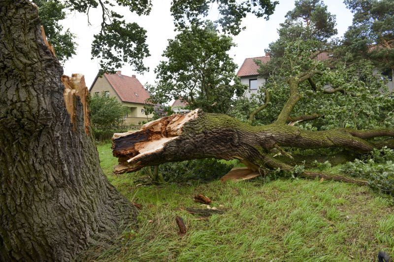 Storm Damage Cleanup