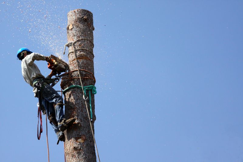 Healthy Tree Monitoring
