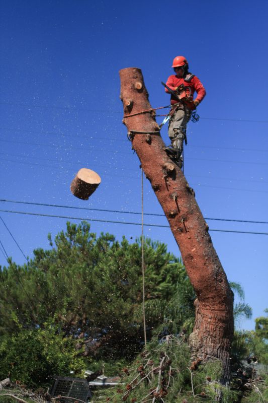 Common Pitfall to Avoid